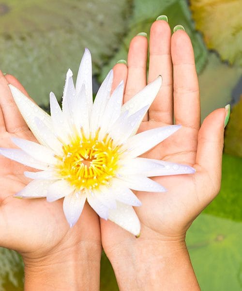 30 ljubezenskih verzov, ki vam bodo polepšali dan