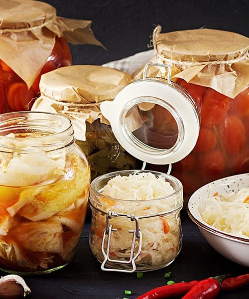 Probiotiki in prebavno zdravje: Naravna pot do boljšega počutja