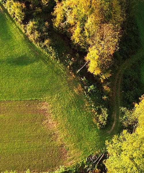 5 koristi gibanja v naravi: Kako narava izboljša vaše zdravje in počutje