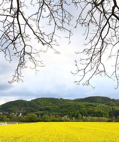 22. april je svetovni dan Zemlje