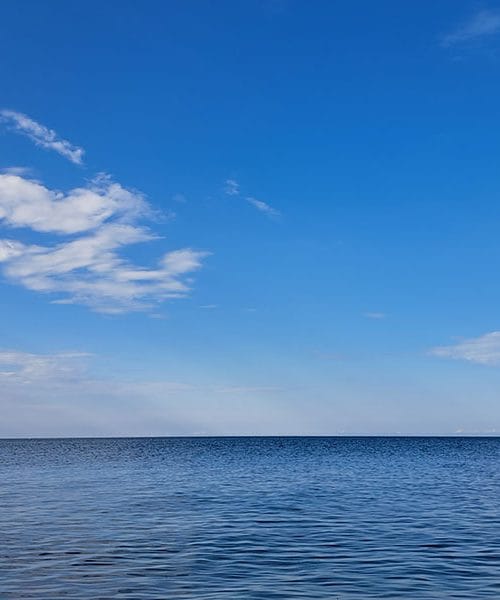 Usmiljenje in sočustvovanje