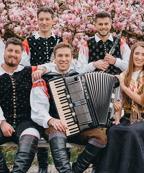 Ansambel Saša Avsenika – Cvetele so maline