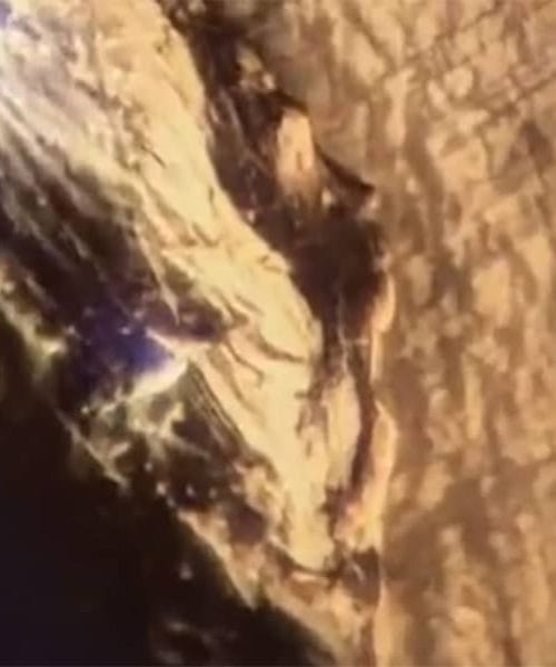 Kako izgleda britvica?