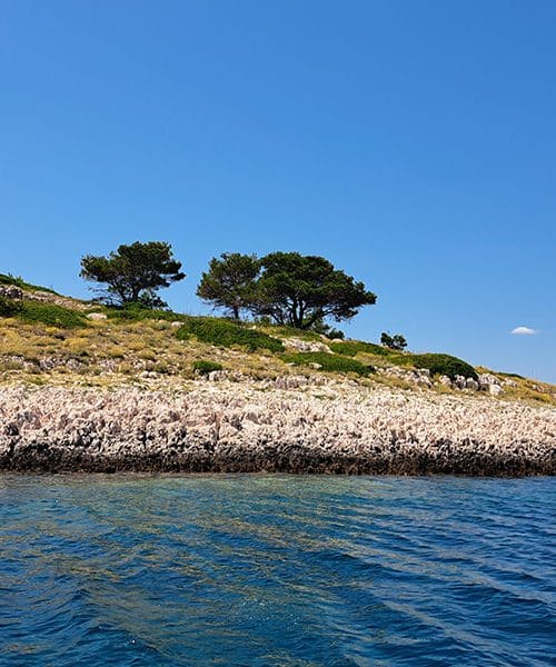 Učenje za življenje