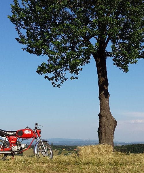 Če želite živeti bolj polno, potem …