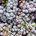 Grozdje, zdravje in dieta