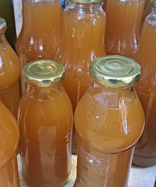 Domač jabolčni sok – priprava, recept in shranjevanje