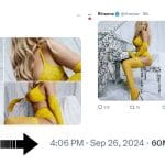 Rihanna - Lavish Lace