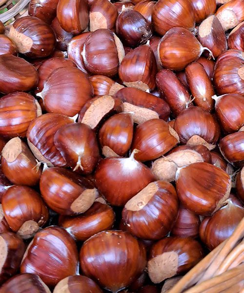 Jesenski zaklad, ki greje dušo in zdravi telo