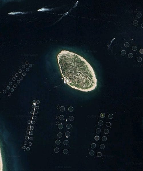 Zakaj je gojenje rib manj trajnostno kot njihov ulov v naravi?