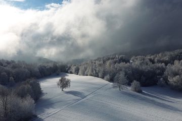 Pregovori – Katarina, 25. november
