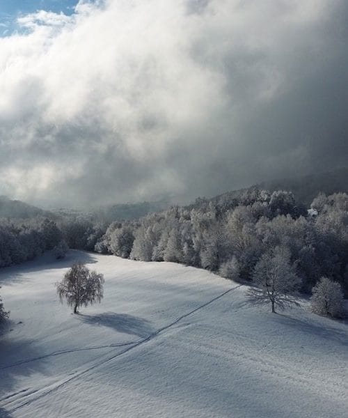 Pregovori – Katarina, 25. november