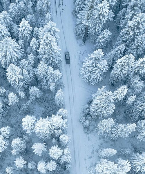 Bela snežinka (besedilo)