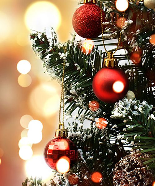 Kdaj je pravi čas za pospravljanje novoletne smreke?