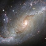 Nostradamus napovedi