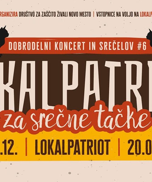 Dobrodelni koncert Patriot za srečne tačke