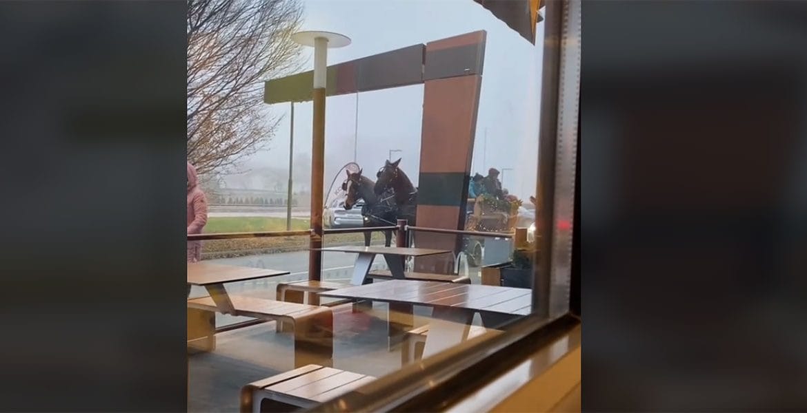 S konji na McDrive v McDonalds