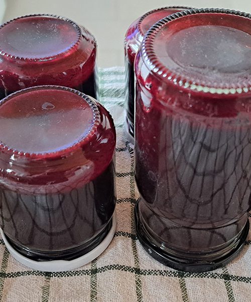 Ta marmelada se odlično poda k Martinovi goski ali rački – skrivnost je v aroniji