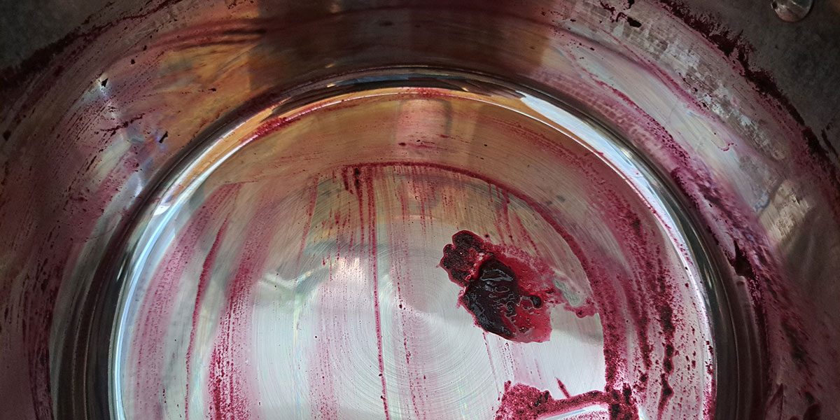 Recept za marmelado iz aronije