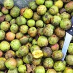 Domača zdrava jabolka