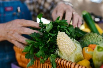 Svetovni dan hrane: zakaj je 16. oktober opomnik za vse nas?