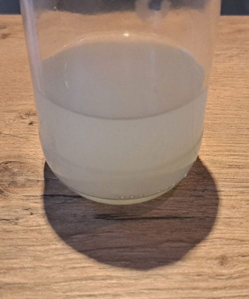 Zelnica je naravna pijača za zdravje in vitalnost