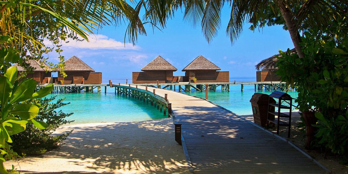 Maldivi