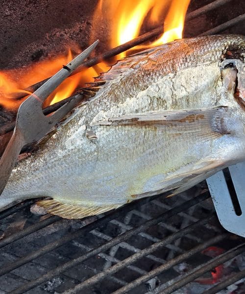 Pečena orada – hitra priprava na žaru za popoln okus (recept in nasveti)