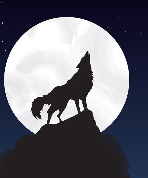 Polna luna – julij 2025 (prvi krajec, ščip, zadnji krajec, mlaj)