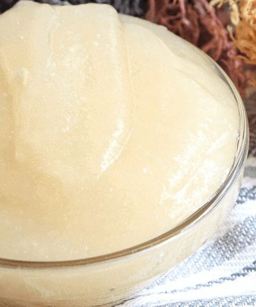 Kaj je sea moss (irski mah) gel, zadnje čase priljubljeno superživilo?