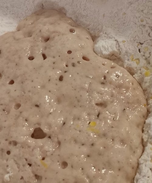 Veganski krofi: Recept za mehke krofe brez mleka in jajc, ki bodo navdušili vse!