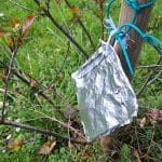 Alu folija v sadovnjaku