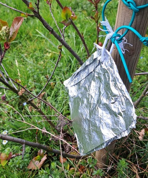 Zakaj vrtičkarji obešajo aluminijasto folijo med rastline