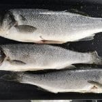 Pečenje brancinov na električni ponvi