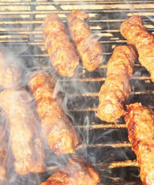 Katera vrsta čevapčičev je najboljša za vašo prebavo? Kaj pravijo strokovnjaki?