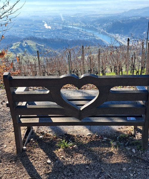 Grmada nad Krškim (488 m nad morjem): Izlet z razgledom!