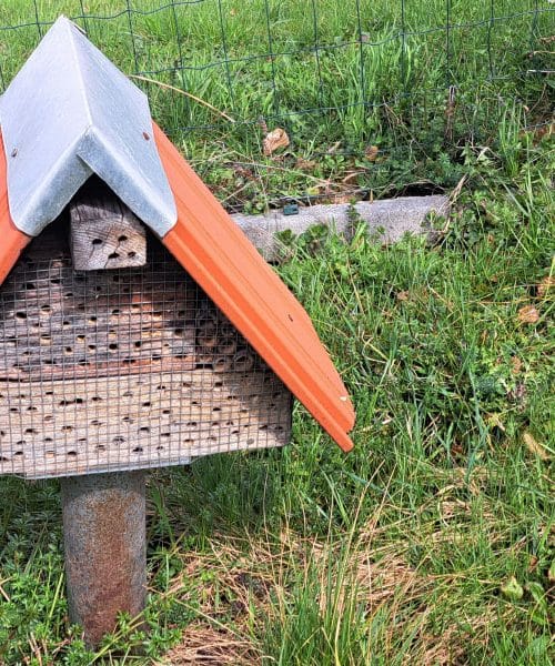 Naravni zavezniki sadovnjakov! Zakaj vse več ljudi gradi hotel za čebele in žuželke?
