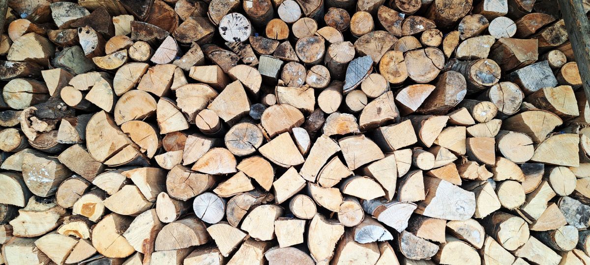 Priprava drv na zimo