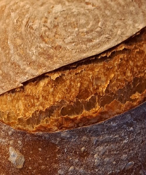 Skrivnost popolne zareze: Kako narediti hlebec, ki se razpre v čudovito skorjo?