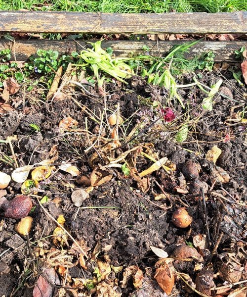 Kam z bio odpadki? Teh 5 stvari moraš upoštevati pri kompostu