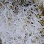 Parmezan na testeninah