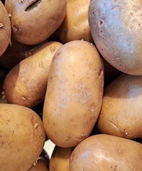 Če boste letos sadili krompir, potem posadite zraven še ta zelišča