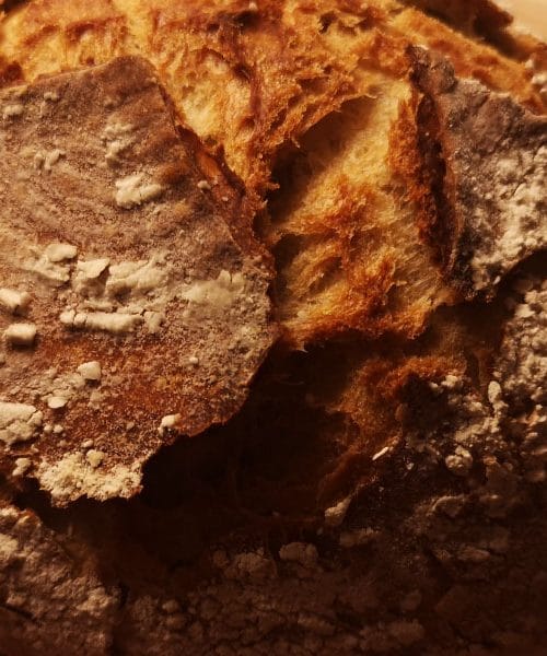 Kruh, ki je oblikoval Slovenijo. Pogled v preteklost skozi knjigo iz leta 1966