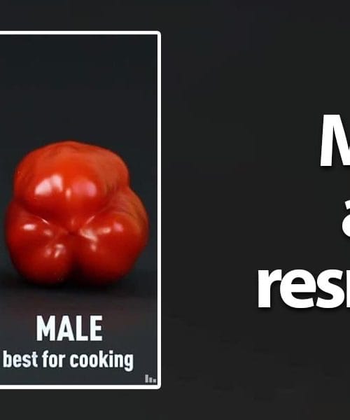 Ali obstajajo moške in ženske paprike? Resnica o priljubljenem spletnem mitu