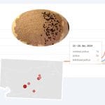 Potica pred velikonočnimi prazniki