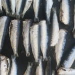 Sardele na plinskem žaru