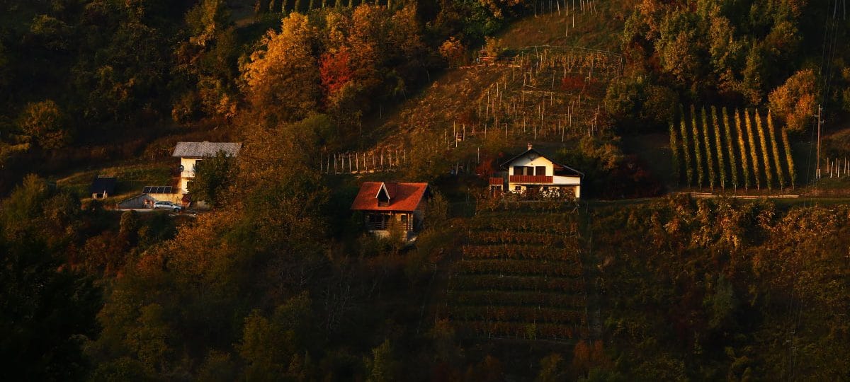 Kam za prvomajske počitnice, če si želite miru: 6 idej za počasnejši oddih