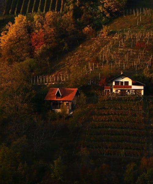 Kam za prvomajske počitnice, če si želite miru: 6 idej za počasnejši oddih