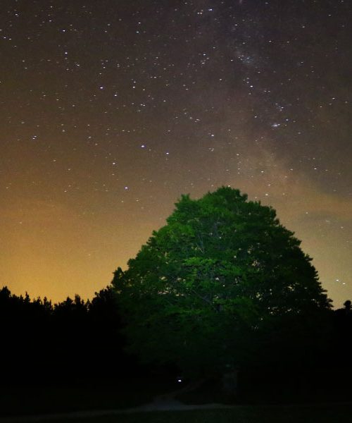 Zakaj se zvezde na nočnem nebu svetlikajo?