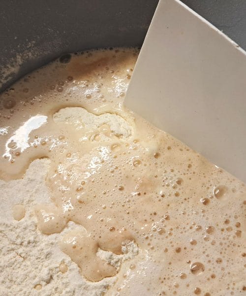 Ko zamesite testo za kruh, ga ne smete takoj do konca. Tu je razlog!